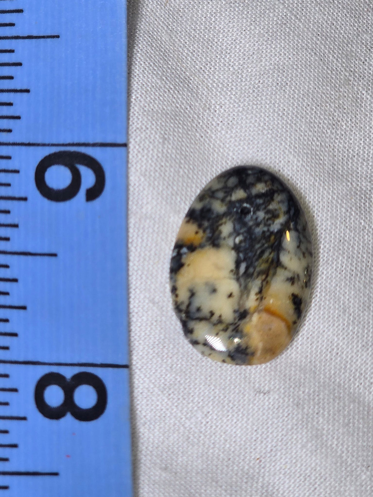 Dendritic oval bead cream tan black with ruler